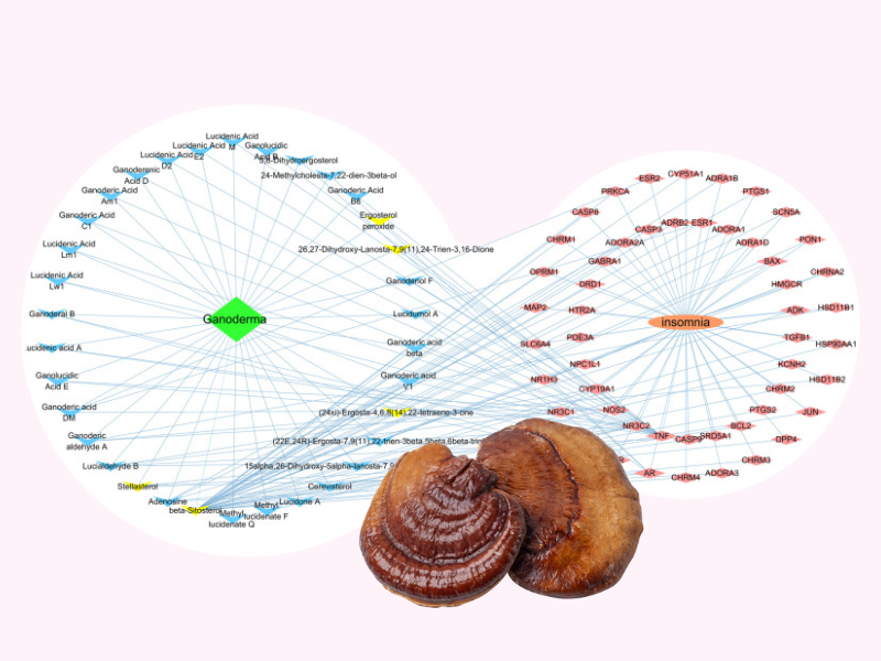 znanstvena-raziskava-reishi-ganoderma-lucidum